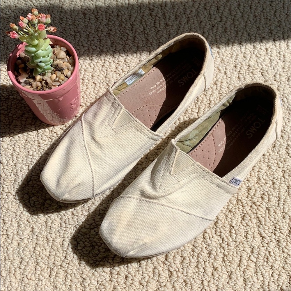 Toms W6.5